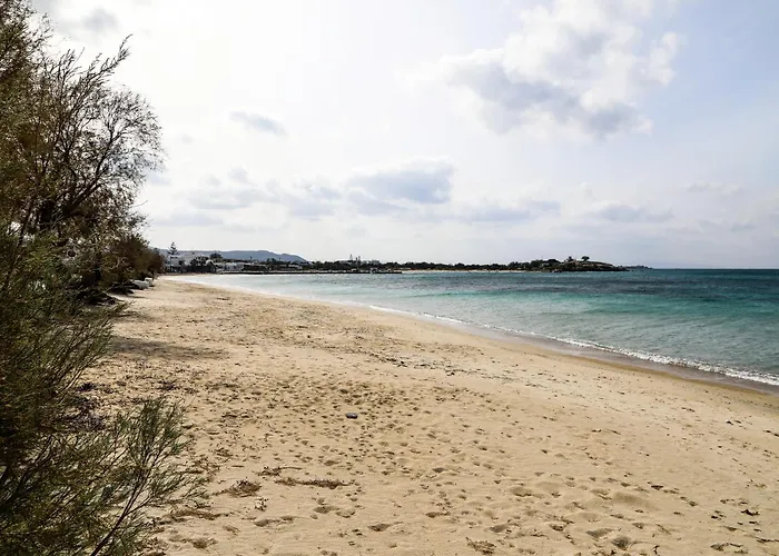 Emelias House Sea Side * Agia Anna (Naxos)