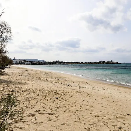 Emelias House Sea Side * Agia Anna (Naxos)