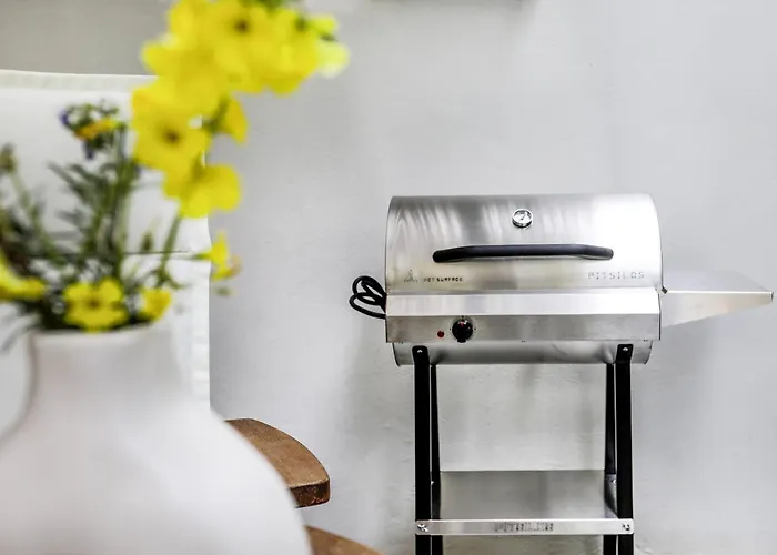 Emelias House Sea Side Tatil Evi Agia Anna (Naxos)